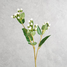 Load image into Gallery viewer, Hypericum White 66cm
