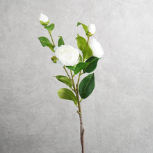 Load image into Gallery viewer, Gardenia White 60cm
