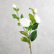 Load image into Gallery viewer, Gardenia White 60cm
