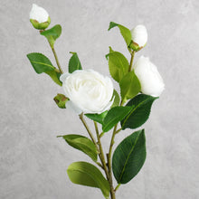 Load image into Gallery viewer, Gardenia White 60cm
