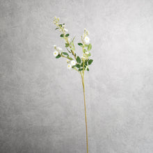 Load image into Gallery viewer, Multiflora Rose White 74cm
