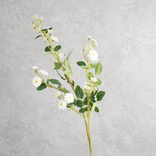 Load image into Gallery viewer, Multiflora Rose White 74cm
