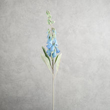 Load image into Gallery viewer, Digitalis Blue 75cm
