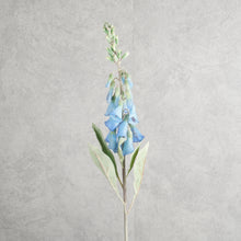 Load image into Gallery viewer, Digitalis Blue 75cm
