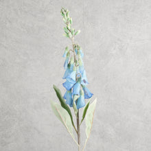 Load image into Gallery viewer, Digitalis Blue 75cm
