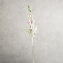 Load image into Gallery viewer, Digitalis Pink 75cm
