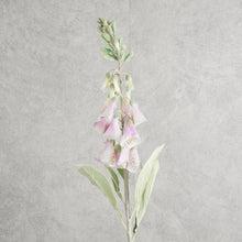 Load image into Gallery viewer, Digitalis Pink 75cm
