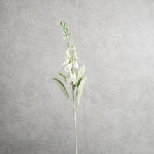 Load image into Gallery viewer, Digitalis White 75cm
