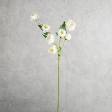 Load image into Gallery viewer, Rosespra White 78cm
