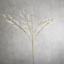 Load image into Gallery viewer, Spiraea White 106cm
