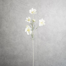 Load image into Gallery viewer, Cosmo White 60cm
