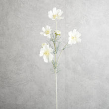 Load image into Gallery viewer, Cosmo White 60cm
