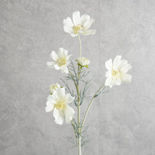 Load image into Gallery viewer, Cosmo White 60cm
