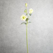 Load image into Gallery viewer, Lisianthus Green 70cm
