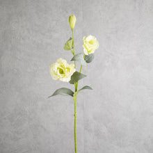 Load image into Gallery viewer, Lisianthus Green 70cm
