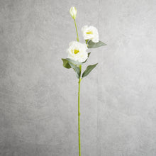 Load image into Gallery viewer, Lisianthus White 70cm
