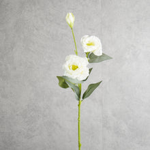 Load image into Gallery viewer, Lisianthus White 70cm
