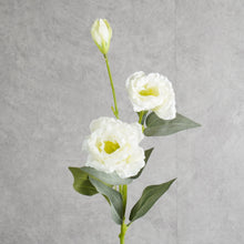 Load image into Gallery viewer, Lisianthus White 70cm
