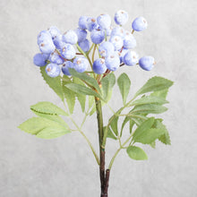 Load image into Gallery viewer, Berry Blue 38cm

