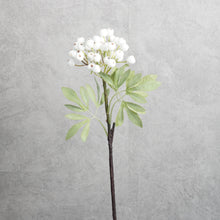 Load image into Gallery viewer, Berry Whte 38cm
