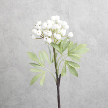 Load image into Gallery viewer, Berry Whte 38cm
