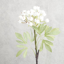 Load image into Gallery viewer, Berry Whte 38cm
