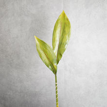 Load image into Gallery viewer, Strelitzia Leaf 83cm
