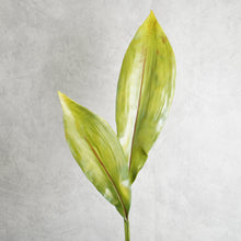 Load image into Gallery viewer, Strelitzia Leaf 83cm
