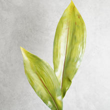 Load image into Gallery viewer, Strelitzia Leaf 83cm
