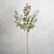 Load image into Gallery viewer, Mint Branch 66cm
