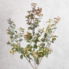 Load image into Gallery viewer, Mint Branch 66cm
