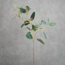 Load image into Gallery viewer, Eucalyptus Seeded Green 70cm
