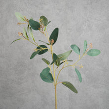 Load image into Gallery viewer, Eucalyptus Seeded Green 70cm
