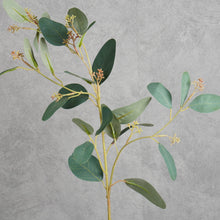Load image into Gallery viewer, Eucalyptus Seeded Green 70cm
