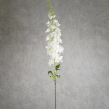 Load image into Gallery viewer, Delphinium White 125cm

