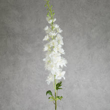 Load image into Gallery viewer, Delphinium White 125cm
