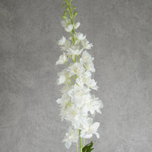 Load image into Gallery viewer, Delphinium White 125cm
