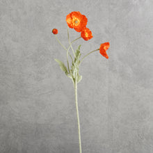 Load image into Gallery viewer, Poppy Reddish 58cm
