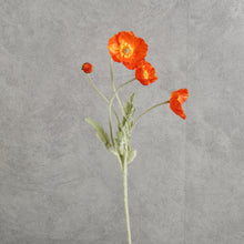 Load image into Gallery viewer, Poppy Reddish 58cm
