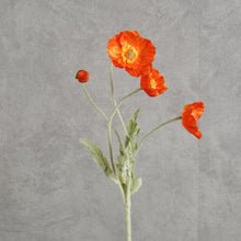 Load image into Gallery viewer, Poppy Reddish 58cm
