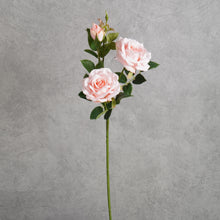 Load image into Gallery viewer, Paris Rose Pink 65cm
