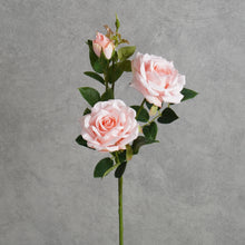 Load image into Gallery viewer, Paris Rose Pink 65cm
