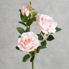 Load image into Gallery viewer, Paris Rose Pink 65cm
