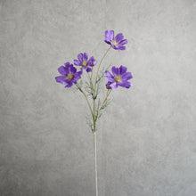 Load image into Gallery viewer, Cosm Purple 60cm
