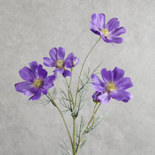 Load image into Gallery viewer, Cosm Purple 60cm
