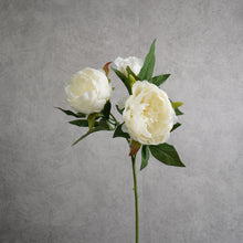 Load image into Gallery viewer, Peony White 51cm
