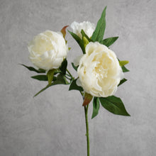 Load image into Gallery viewer, Peony White 51cm
