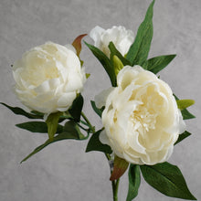 Load image into Gallery viewer, Peony White 51cm
