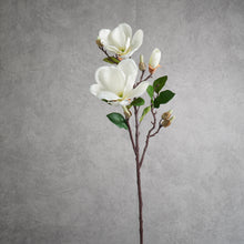 Load image into Gallery viewer, Magnolia White 70cm
