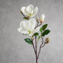 Load image into Gallery viewer, Magnolia White 70cm
